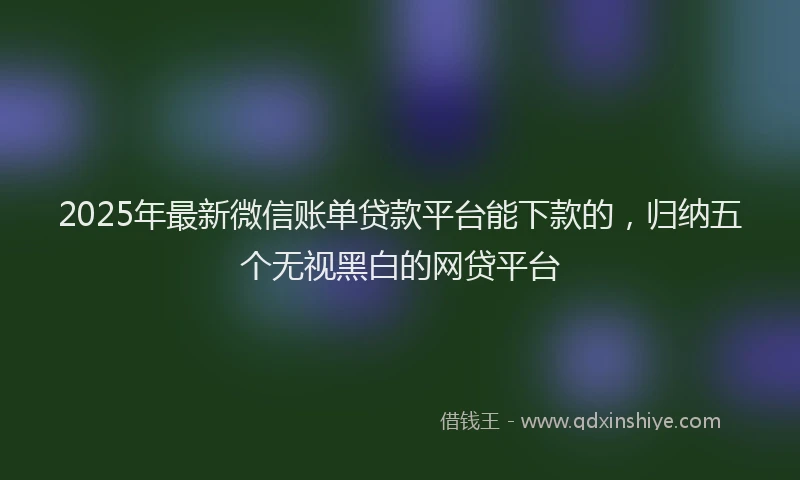 2025年最新微信账单贷款平台能下款的，归纳五个无视黑白的网贷平台