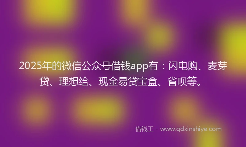 2025年的微信公众号借钱app有：闪电购、麦芽贷、理想给、现金易贷宝盒、省呗等。