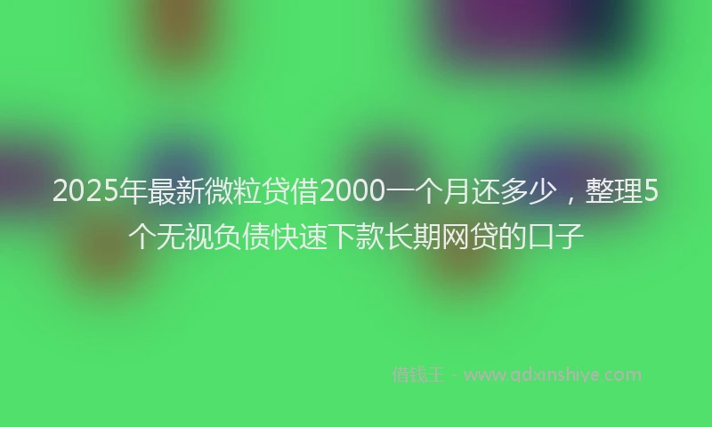 2025年最新微粒贷借2000一个月还多少，整理5个无视负债快速下款长期网贷的口子