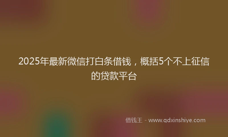 2025年最新微信打白条借钱，概括5个不上征信的贷款平台