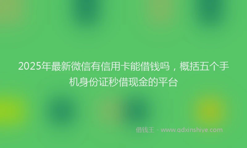 2025年最新微信有信用卡能借钱吗，概括五个手机身份证秒借现金的平台