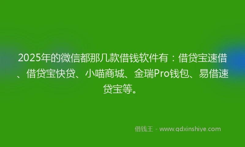 2025年的微信都那几款借钱软件有：借贷宝速借、借贷宝快贷、小喵商城、金瑞Pro钱包、易借速贷宝等。