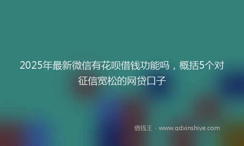 2025年最新微信有花呗借钱功能吗，概括5个对征信宽松的网贷口子