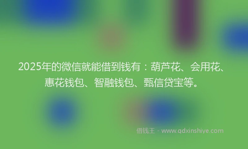2025年的微信就能借到钱有：葫芦花、会用花、惠花钱包、智融钱包、甄信贷宝等。