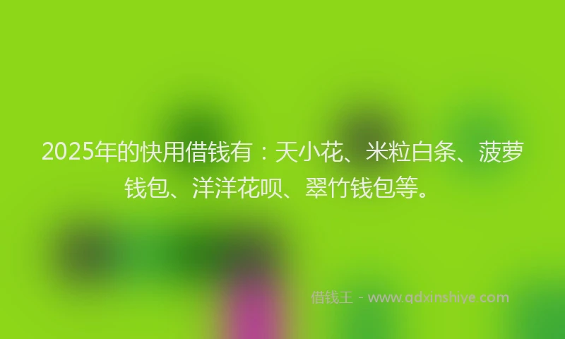 2025年的快用借钱有：天小花、米粒白条、菠萝钱包、洋洋花呗、翠竹钱包等。