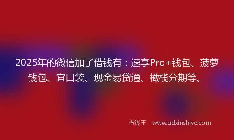 2025年的微信加了借钱有：速享Pro+钱包、菠萝钱包、宜口袋、现金易贷通、橄榄分期等。