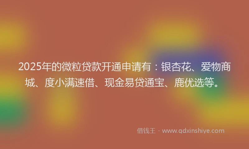 2025年的微粒贷款开通申请有：银杏花、爱物商城、度小满速借、现金易贷通宝、鹿优选等。