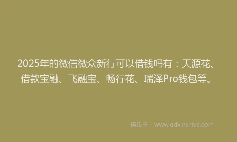 2025年的微信微众新行可以借钱吗有：天源花、借款宝融、飞融宝、畅行花、瑞泽Pro钱包等。
