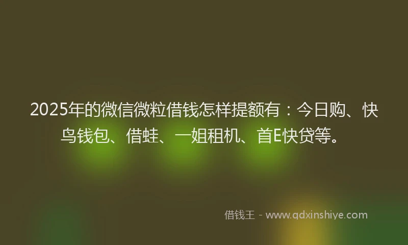 2025年的微信微粒借钱怎样提额有：今日购、快鸟钱包、借蛙、一姐租机、首E快贷等。