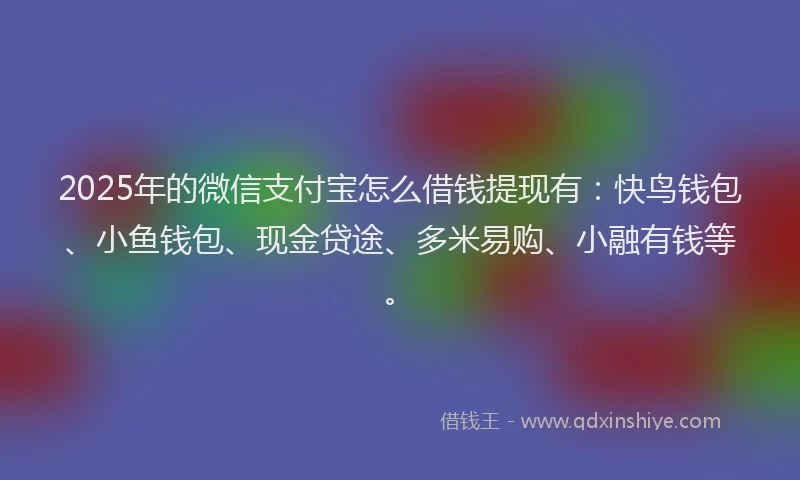 2025年的微信支付宝怎么借钱提现有：快鸟钱包、小鱼钱包、现金贷途、多米易购、小融有钱等。