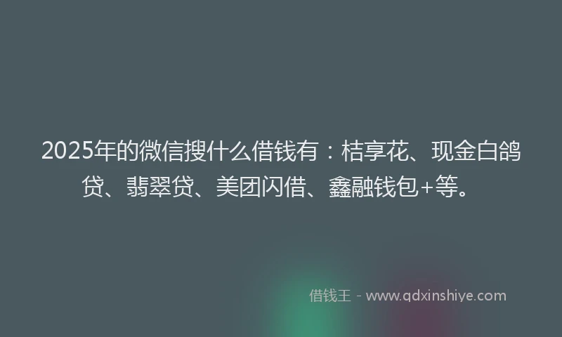 2025年的微信搜什么借钱有：桔享花、现金白鸽贷、翡翠贷、美团闪借、鑫融钱包+等。