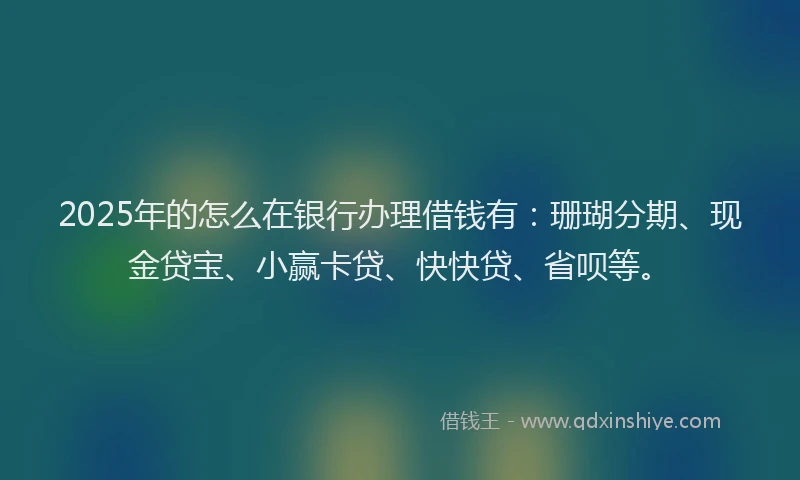 2025年的怎么在银行办理借钱有：珊瑚分期、现金贷宝、小赢卡贷、快快贷、省呗等。