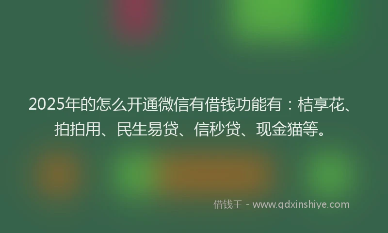 2025年的怎么开通微信有借钱功能有：桔享花、拍拍用、民生易贷、信秒贷、现金猫等。