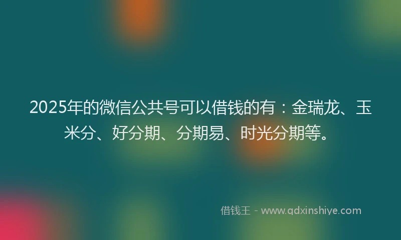 2025年的微信公共号可以借钱的有：金瑞龙、玉米分、好分期、分期易、时光分期等。