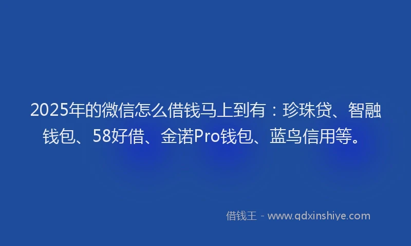 2025年的微信怎么借钱马上到有：珍珠贷、智融钱包、58好借、金诺Pro钱包、蓝鸟信用等。