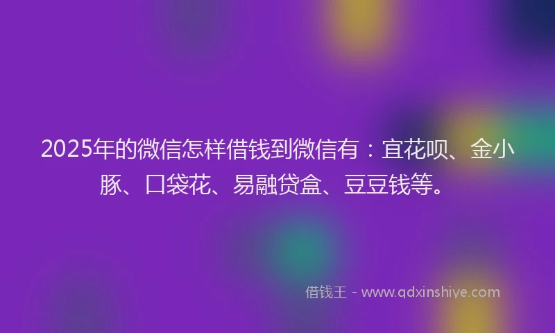 2025年的微信怎样借钱到微信有：宜花呗、金小豚、口袋花、易融贷盒、豆豆钱等。
