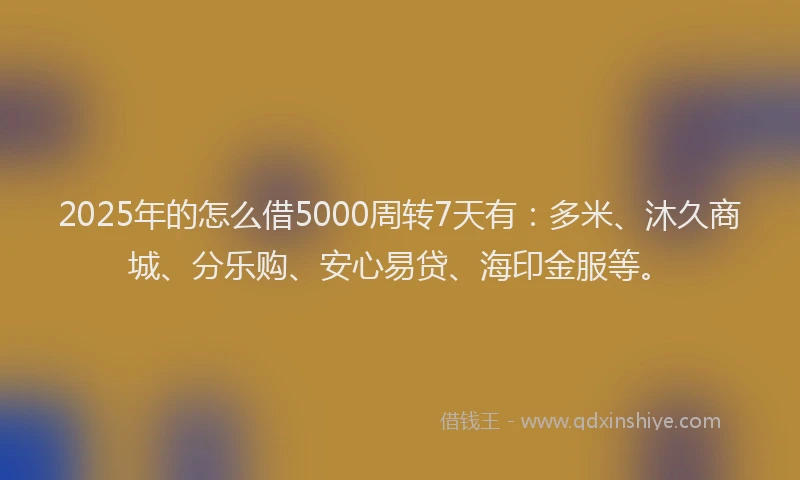2025年的怎么借5000周转7天有：多米、沐久商城、分乐购、安心易贷、海印金服等。