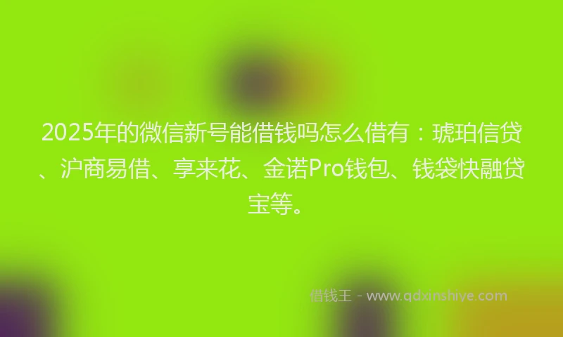 2025年的微信新号能借钱吗怎么借有：琥珀信贷、沪商易借、享来花、金诺Pro钱包、钱袋快融贷宝等。
