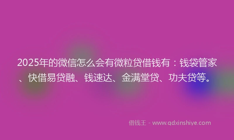 2025年的微信怎么会有微粒贷借钱有：钱袋管家、快借易贷融、钱速达、金满堂贷、功夫贷等。