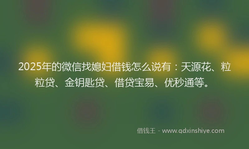2025年的微信找媳妇借钱怎么说有：天源花、粒粒贷、金钥匙贷、借贷宝易、优秒通等。
