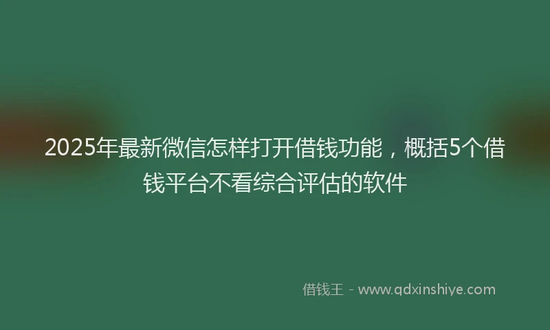 2025年最新微信怎样打开借钱功能，概括5个借钱平台不看综合评估的软件