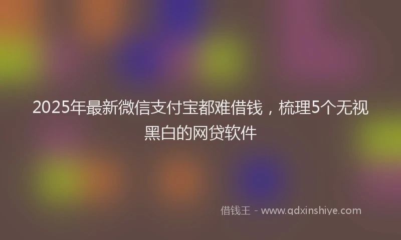 2025年最新微信支付宝都难借钱，梳理5个无视黑白的网贷软件