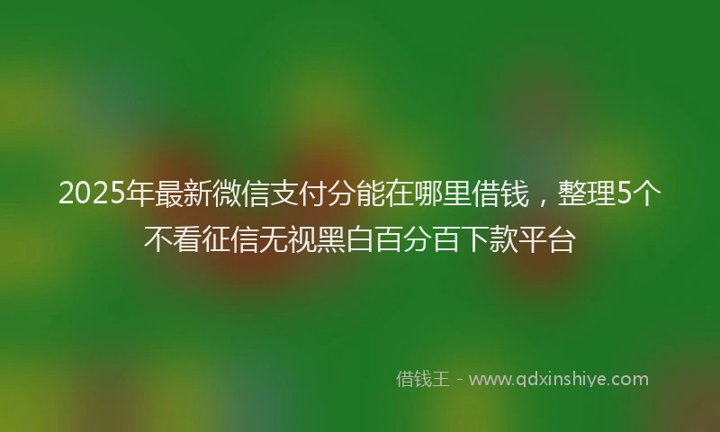 2025年最新微信支付分能在哪里借钱，整理5个不看征信无视黑白百分百下款平台