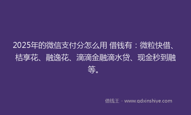 2025年的微信支付分怎么用 借钱有：微粒快借、桔享花、融逸花、滴滴金融滴水贷、现金秒到融等。