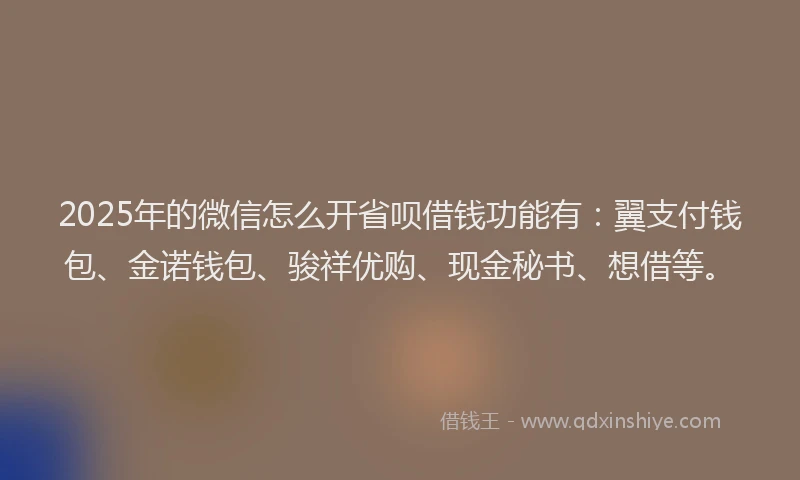 2025年的微信怎么开省呗借钱功能有：翼支付钱包、金诺钱包、骏祥优购、现金秘书、想借等。