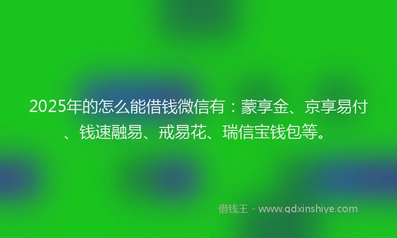 2025年的怎么能借钱微信有：蒙享金、京享易付、钱速融易、戒易花、瑞信宝钱包等。