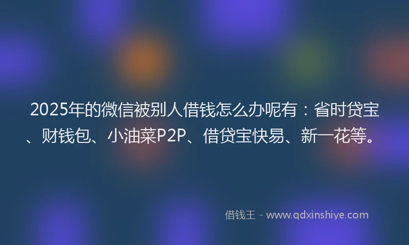 2025年的微信被别人借钱怎么办呢有：省时贷宝、财钱包、小油菜P2P、借贷宝快易、新一花等。