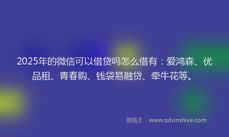 2025年的微信可以借贷吗怎么借有：爱鸿森、优品租、青春购、钱袋易融贷、牵牛花等。