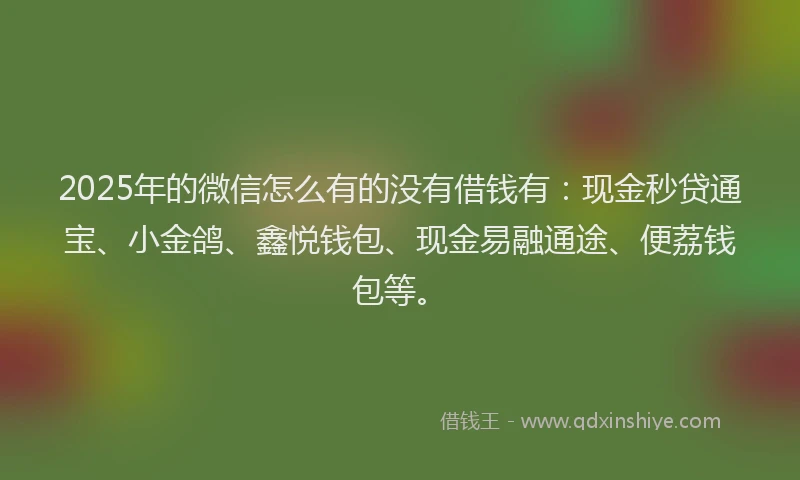 2025年的微信怎么有的没有借钱有：现金秒贷通宝、小金鸽、鑫悦钱包、现金易融通途、便荔钱包等。