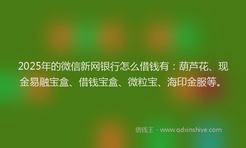 2025年的微信新网银行怎么借钱有：葫芦花、现金易融宝盒、借钱宝盒、微粒宝、海印金服等。
