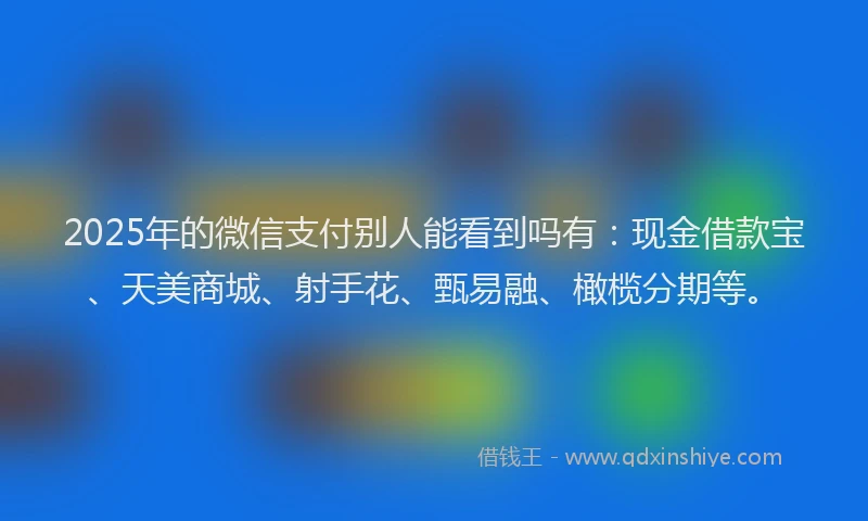 2025年的微信支付别人能看到吗有：现金借款宝、天美商城、射手花、甄易融、橄榄分期等。