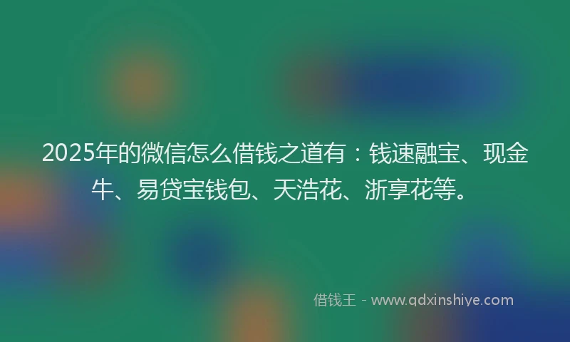 2025年的微信怎么借钱之道有：钱速融宝、现金牛、易贷宝钱包、天浩花、浙享花等。