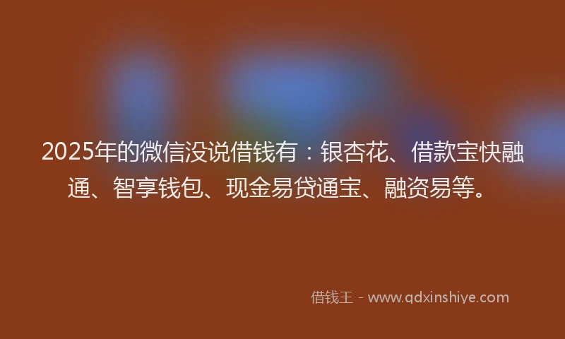 2025年的微信没说借钱有：银杏花、借款宝快融通、智享钱包、现金易贷通宝、融资易等。