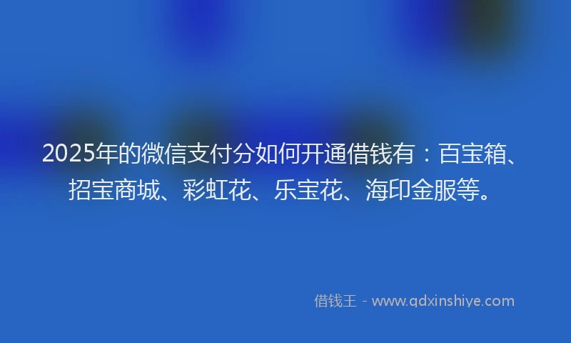 2025年的微信支付分如何开通借钱有：百宝箱、招宝商城、彩虹花、乐宝花、海印金服等。