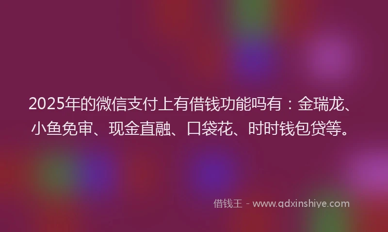 2025年的微信支付上有借钱功能吗有：金瑞龙、小鱼免审、现金直融、口袋花、时时钱包贷等。