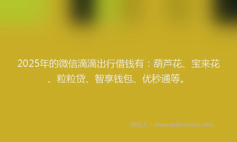 2025年的微信滴滴出行借钱有：葫芦花、宝来花、粒粒贷、智享钱包、优秒通等。