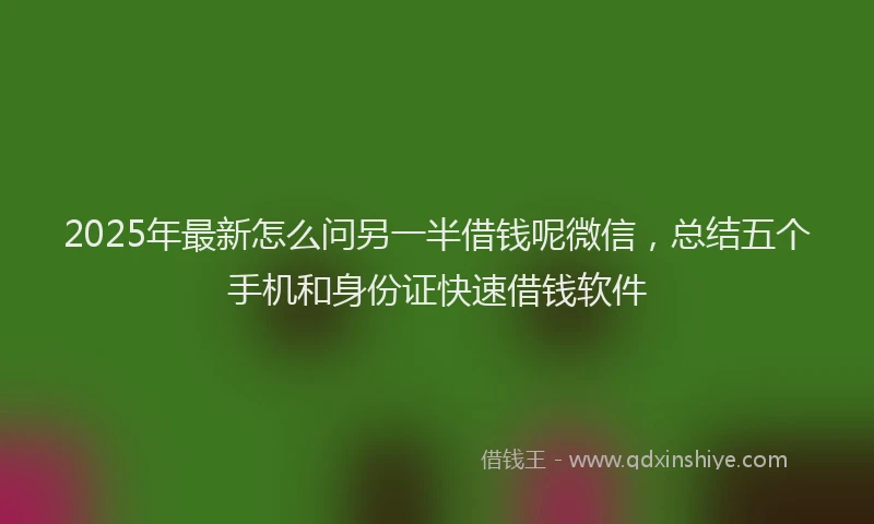 2025年最新怎么问另一半借钱呢微信，总结五个手机和身份证快速借钱软件