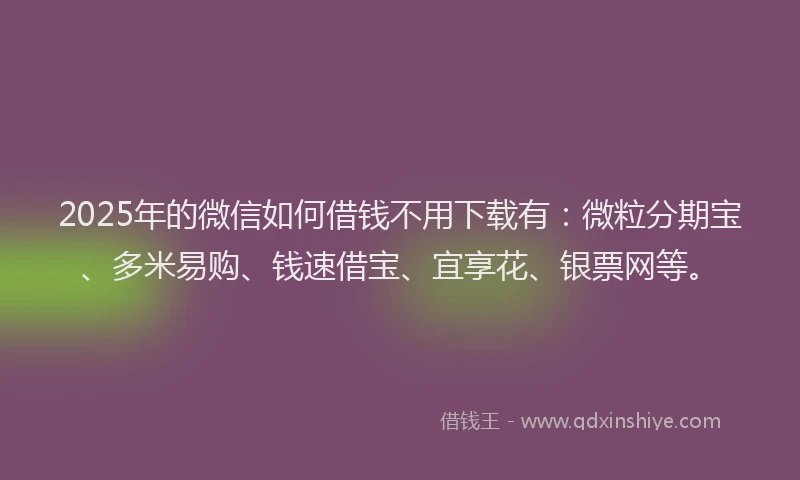 2025年的微信如何借钱不用下载有：微粒分期宝、多米易购、钱速借宝、宜享花、银票网等。