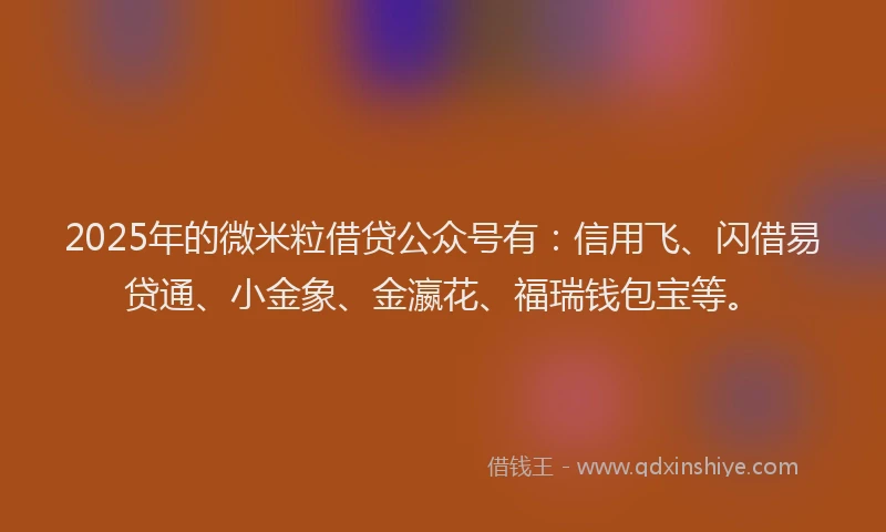 2025年的微米粒借贷公众号有：信用飞、闪借易贷通、小金象、金瀛花、福瑞钱包宝等。