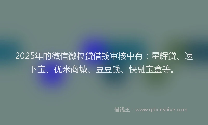 2025年的微信微粒贷借钱审核中有：星辉贷、速下宝、优米商城、豆豆钱、快融宝盒等。