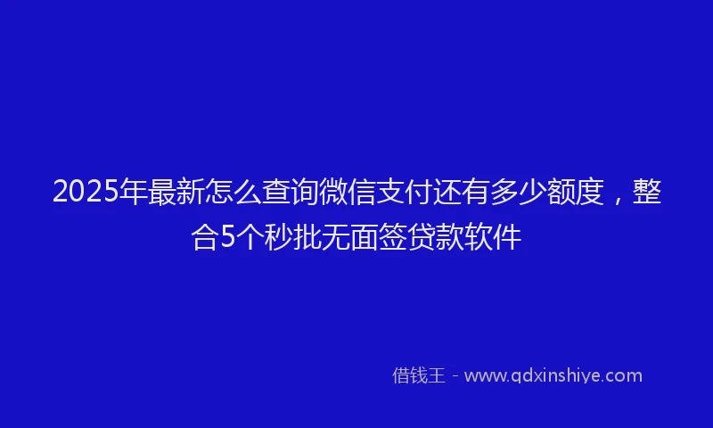 2025年最新怎么查询微信支付还有多少额度，整合5个秒批无面签贷款软件