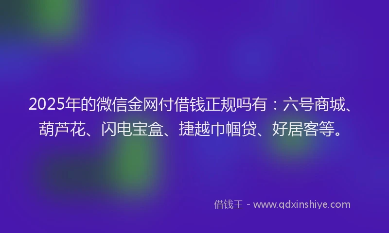 2025年的微信金网付借钱正规吗有：六号商城、葫芦花、闪电宝盒、捷越巾帼贷、好居客等。