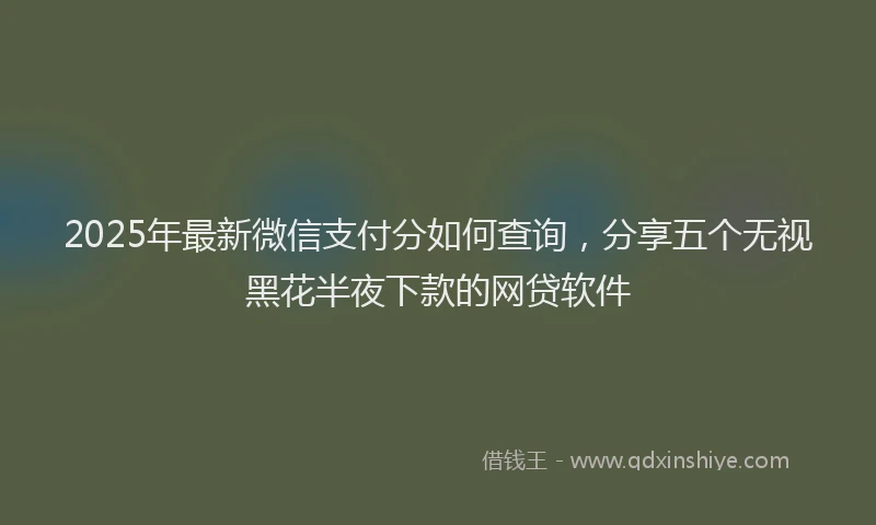 2025年最新微信支付分如何查询，分享五个无视黑花半夜下款的网贷软件