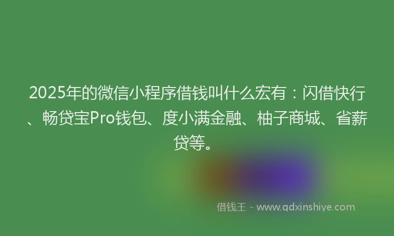 2025年的微信小程序借钱叫什么宏有：闪借快行、畅贷宝Pro钱包、度小满金融、柚子商城、省薪贷等。