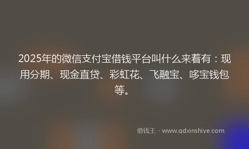 2025年的微信支付宝借钱平台叫什么来着有：现用分期、现金直贷、彩虹花、飞融宝、哆宝钱包等。