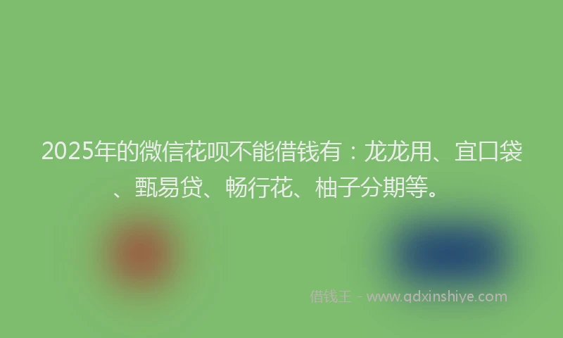 2025年的微信花呗不能借钱有：龙龙用、宜口袋、甄易贷、畅行花、柚子分期等。